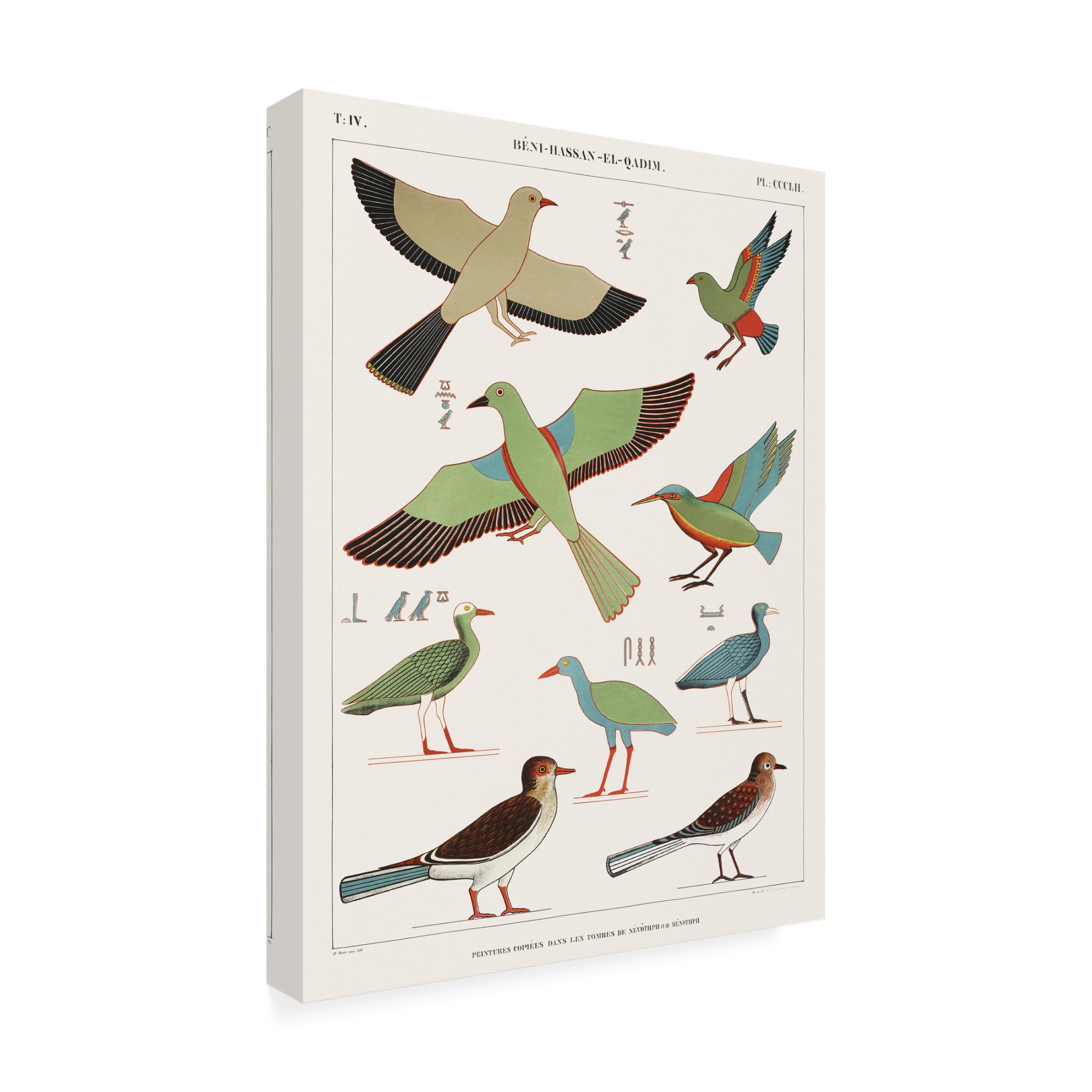 Trademark Fine Art Jean Francois Champollion  Egyptian Bird Charts III Canvas Wall Art