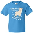 thumbnail image 3 of Inktastic Grandma's You Say Alpaca My Bags Youth T-Shirt, 3 of 5