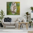 thumbnail image 2 of Detailed Wildlife Owl Bird Animals & Insects Painting Gallery Wrapped Canvas Print Wall Art, 2 of 7
