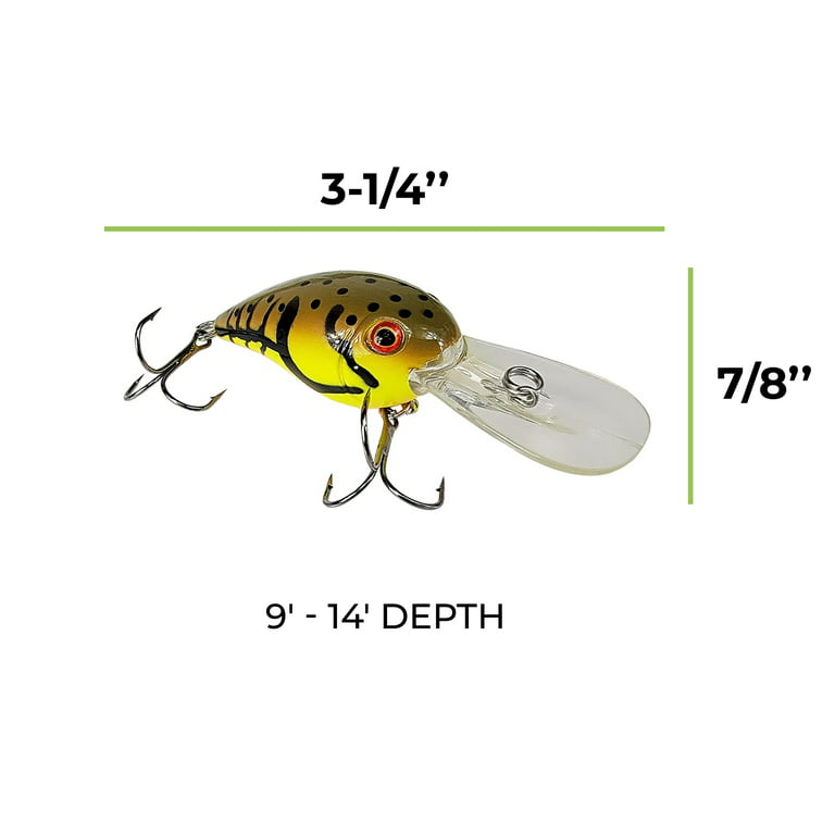 Tackle HD 2-Pack Crankhead Crankbait, Fishing Bait with 9 to 14 Feet Depth, Fishing  Lures for Freshwater or Saltwater, Hard Swimbaits for Bass, Crappie, or  Walleye, Spring Craw 