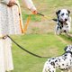 thumbnail image 3 of Heavy Duty Tactical Bungee Dog Leash No Pull Dog Leash Reflective Shock Absorbing Pet Leashes with Car Seatbelt for Large Dogs ShopWise Round, 3 of 11