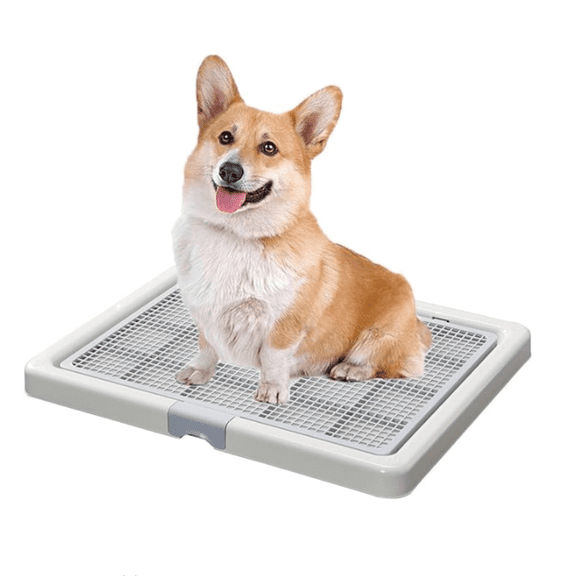 Potty Training Toilet,French Bulldog Training Tray,Pet Pads Holder,Dog Toilet 65X52CM