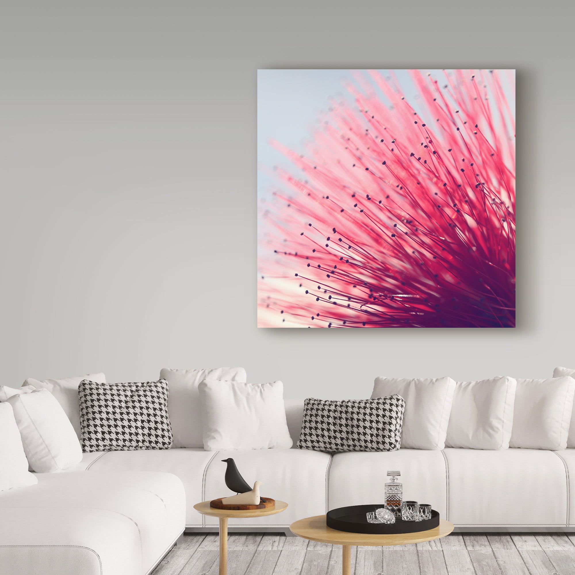 Trademark Fine Art 'Little Wonders Pink' Canvas Art by Incredi