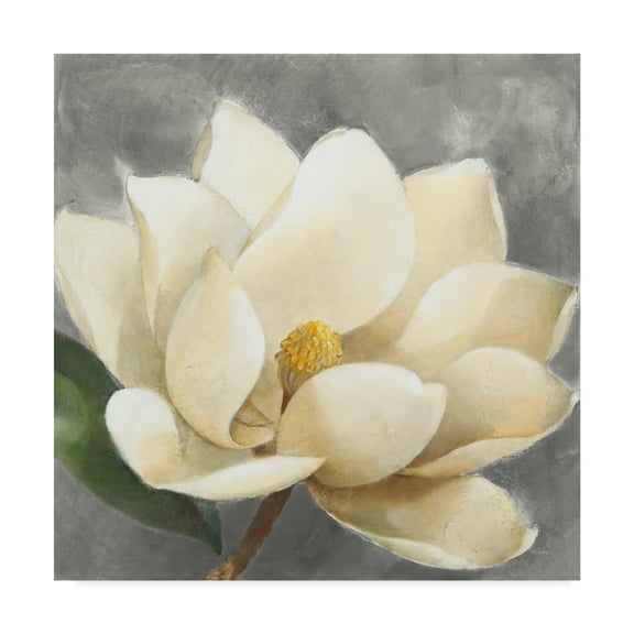Trademark Fine Art 'Magnolia Blossom on Gray' Canvas Art by Albena Hristova