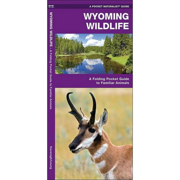Wyoming Wildlife: An Introduction to Familiar Species