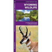 Wildlife and Nature Identification: Wyoming Wildlife : A Folding Pocket Guide to Familiar Animals (Other)
