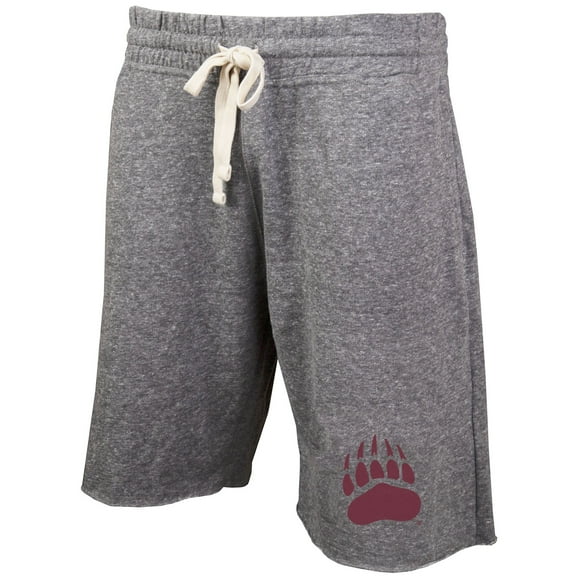 Men's Concepts Sport Gray Montana Grizzlies Mainstream Terry Shorts