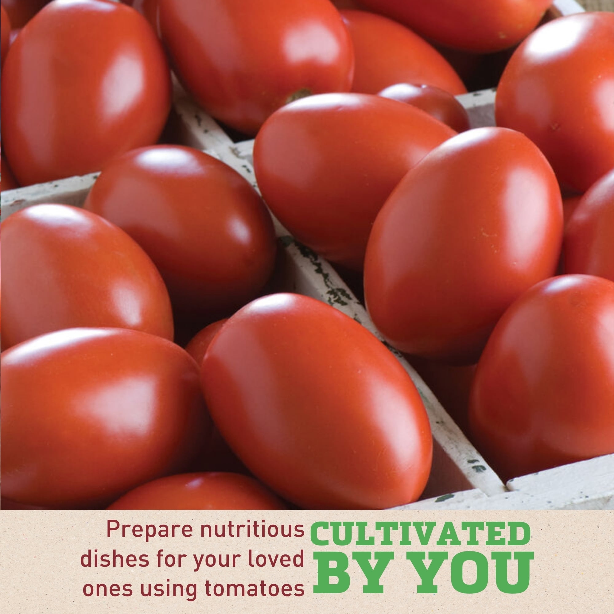 Harris Seeds - Tomato Seeds - Granadero Organic Variety - Blocky, Meaty Fruits - 50 Seeds