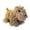 A002- Brown, variant on Plush Squeaky Toys | Chenille Dog Shape Fuzzy Dog Toys for Relaxation Relief for Dogs, Great Pet Gift for Pet Owners