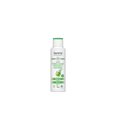 thumbnail image 1 of Champú Lavera Frescura y Equilibrio 250 ml Natural Vegan, 1 of 1