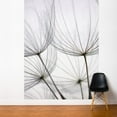 thumbnail image 5 of ADZif Fresk Dandelion Wall Mural, 5 of 5