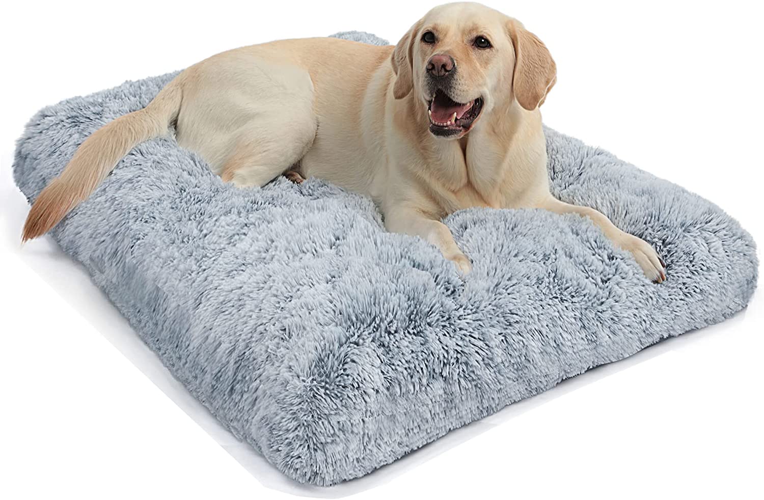 How Do You Calm An Anxious Dog In A Crate