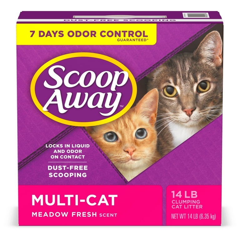 Cats & Kittens Multi-Color School Supplies for sale