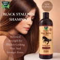 thumbnail image 4 of Green Royalty Black Stallion Premium Shampoo with Horsetail (Cola de Caballo) & Biotin – Volumizing Hair Cleanser – 33.8 fl oz (1L), 4 of 6