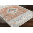 thumbnail image 5 of Livabliss Outdoor Rugs, 5x7 Huntington Beach Global Rust Area Rug for Patio, Porch, Deck, Backyard, Waterproof Indoor Outdoor Carpet (5'3" x 7'), 5 of 8
