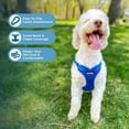 thumbnail image 4 of Best Pet Supplies Voyager Step-In Flex Adjustable Mesh Dog Harness, 4 of 8