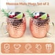thumbnail image 3 of Jetcloudlive Moscow Mule Mugs Juego de 2, 16 oz Tazas de Cobre Martillado con Forro de Acero Inoxidable 304 y Asas de Latón Dorado, Perfectas para Bebidas Frías, Cerveza, Vino, Bares, Fiestas, Regalo, 3 of 12