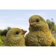 thumbnail image 5 of Playful Chicks Garden Statue, 5 of 5