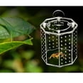thumbnail image 2 of Caja de Jau de Terrario Saltamontes Productos de Jau para Mascotas Pequeñas Cro Yuyangstore Contenedor de alimentación de reptiles, 2 of 8