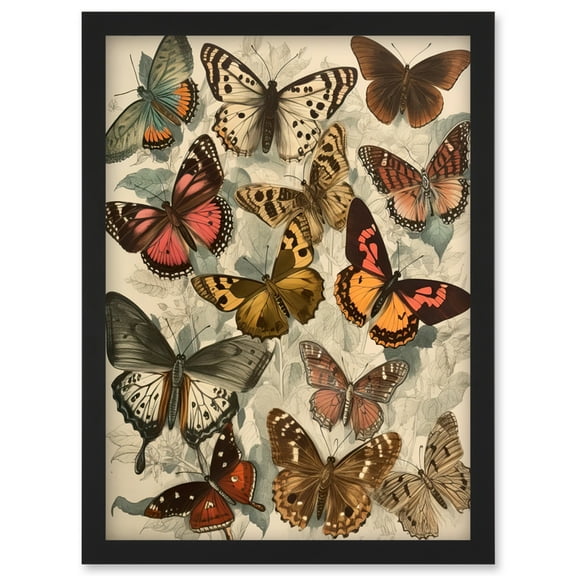 Vintage Cottagecore Aesthetic Butterflies Colour Pencil Insect Study Decor Artwork Framed Wall Art Print A4