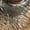 #3_Khaki, variant on Men's 3D Dog Printed Short Sleeve T-Shirt – Funny Animal Graphic Tee for Casual & Sports, Big & Tall Sizes, Summer Streetwear Top