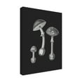 thumbnail image 4 of Trademark Fine Art Pictufy   Amanita Muscaria  Black Backgound BW Canvas Wall Art, 4 of 4