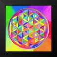 thumbnail image 2 of Green, Howie 20x20 Black Modern Framed Museum Art Print Titled - Sacred Geo Flower of Life, 2 of 5