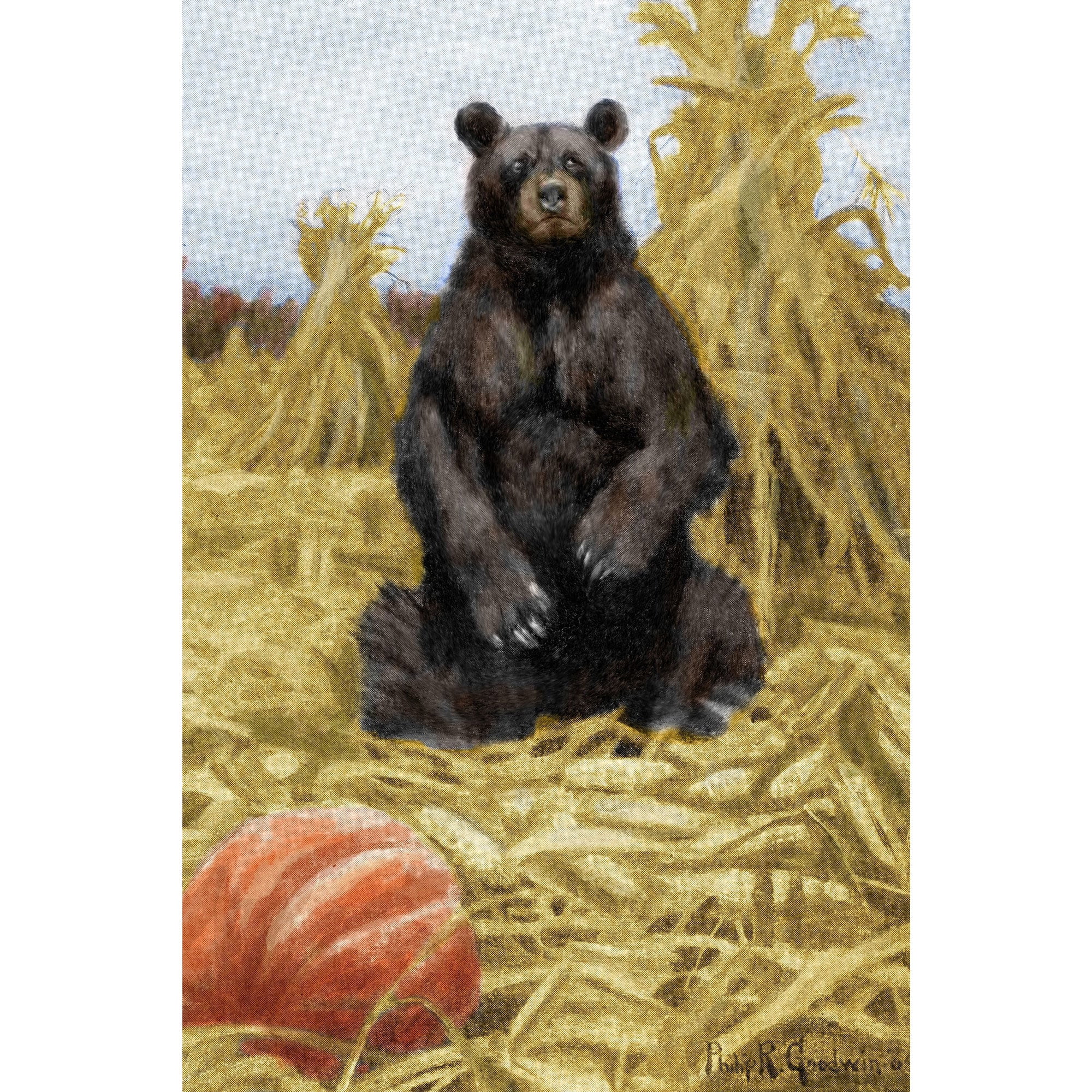 "Bear in Hay" Painting Print on Wrapped Canvas