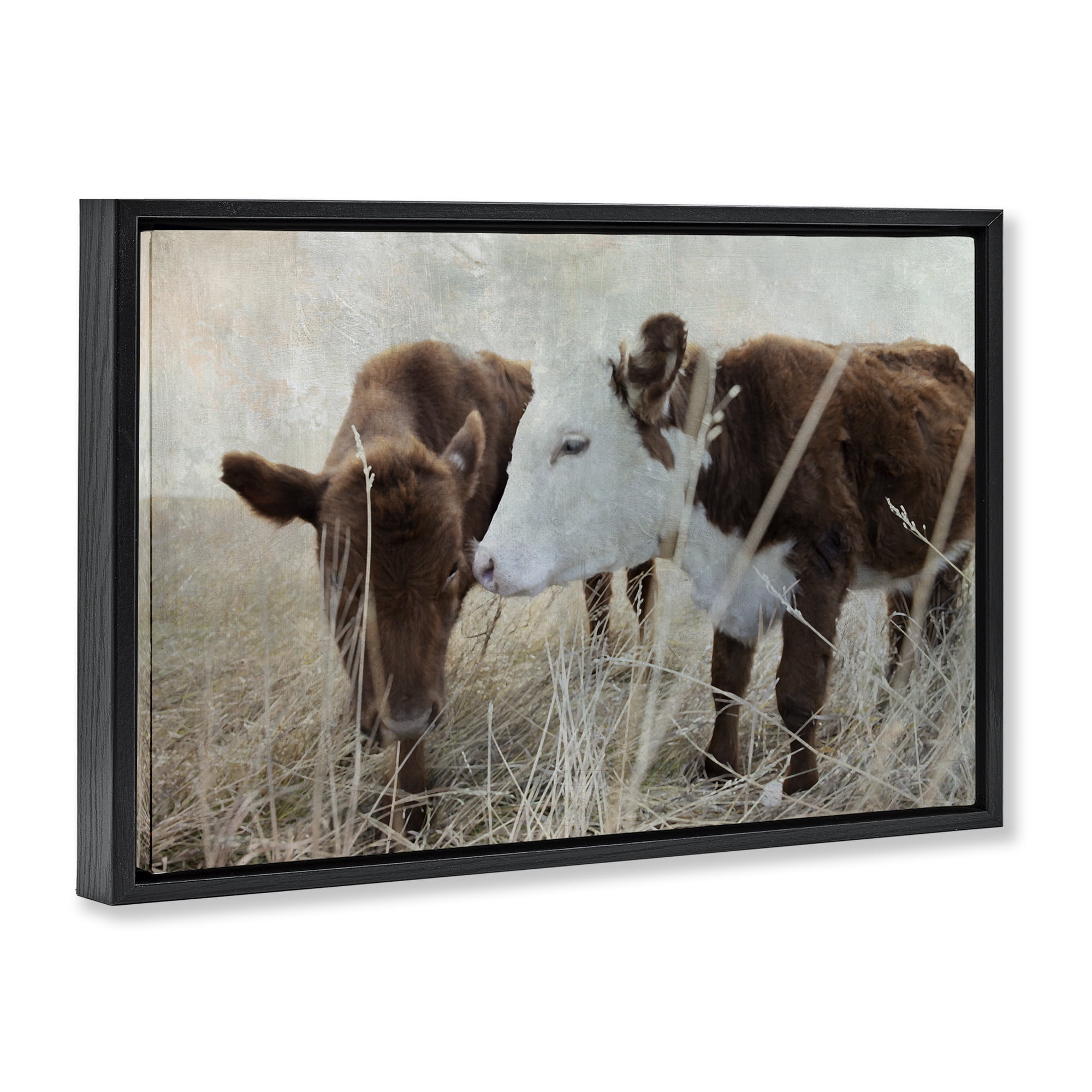 Stupell Industries Baby Calf Pair in Grass Animals & Insects Photography Black Floater Framed Canvas Art Print Wall Art, 25 x 17