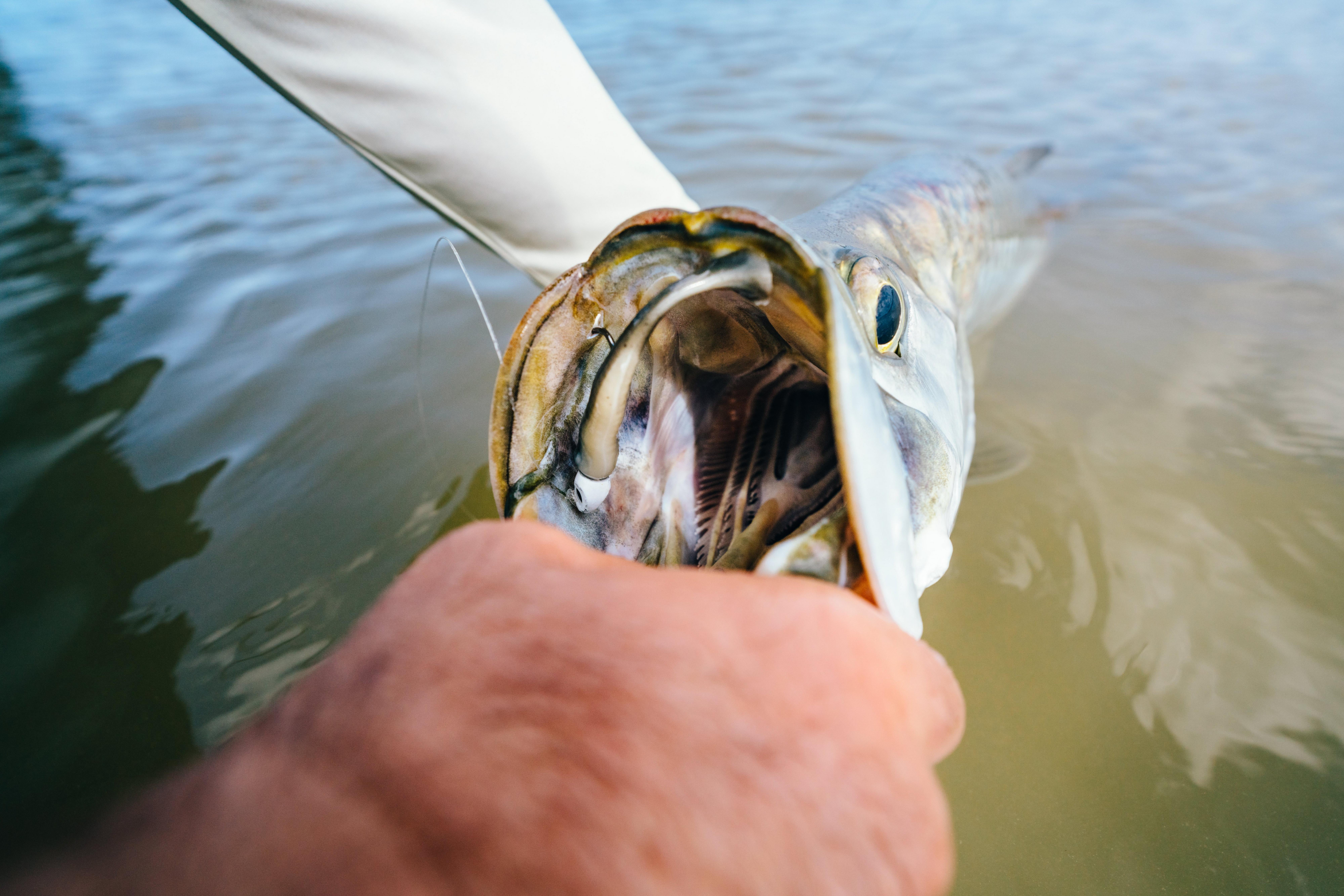 Gulp!® Saltwater Paddleshad