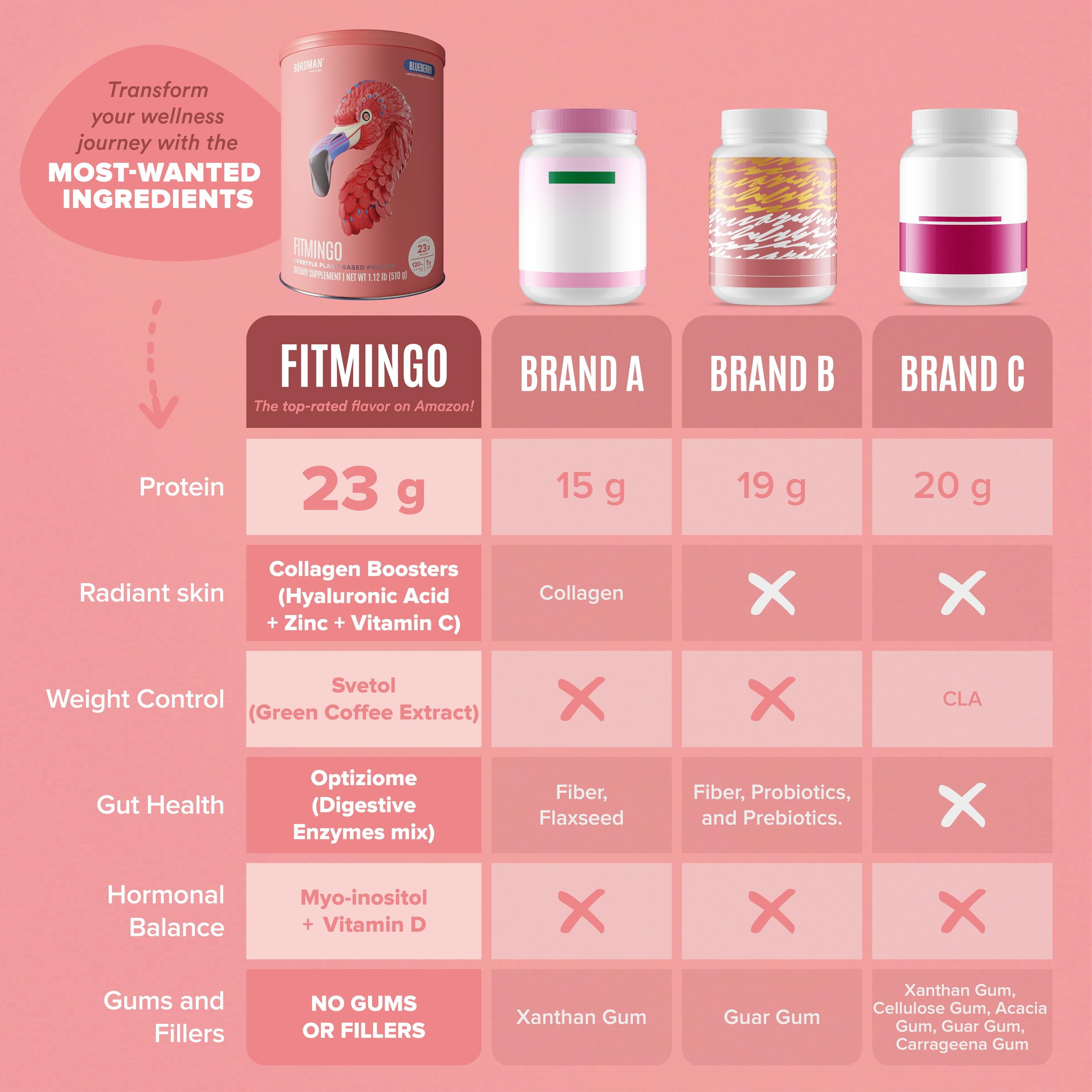 BIRDMAN Fitmingo Vegan Protein Powder with Inositol, 3 Blends, Blueberry, 15 Servings, 1.12lb