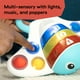 thumbnail image 3 of Baby Einstein Ocean Explorers Pop & Explore Stingray Popper, juguete a partir de 6 meses, 3 of 5