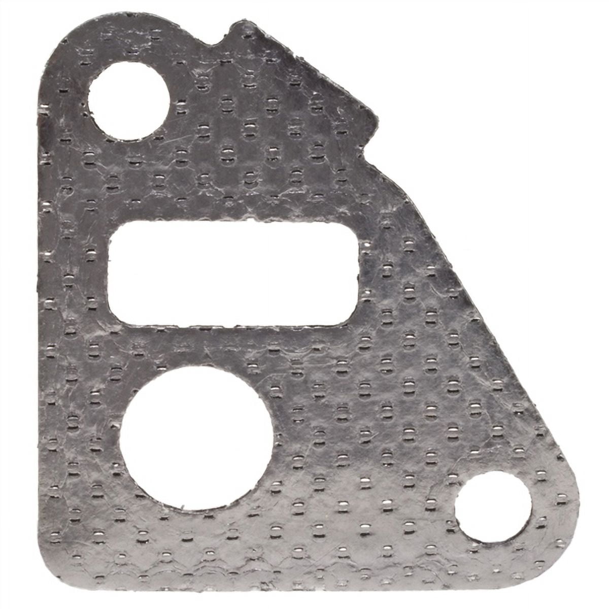 Exhaust Gas Recirculation (EGR) Valve