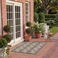 thumbnail image 4 of SAFAVIEH Courtyard Tranter Fishes Indoor/Outdoor Area Rug, Grey/Beige, 2'7" x 5', 4 of 14