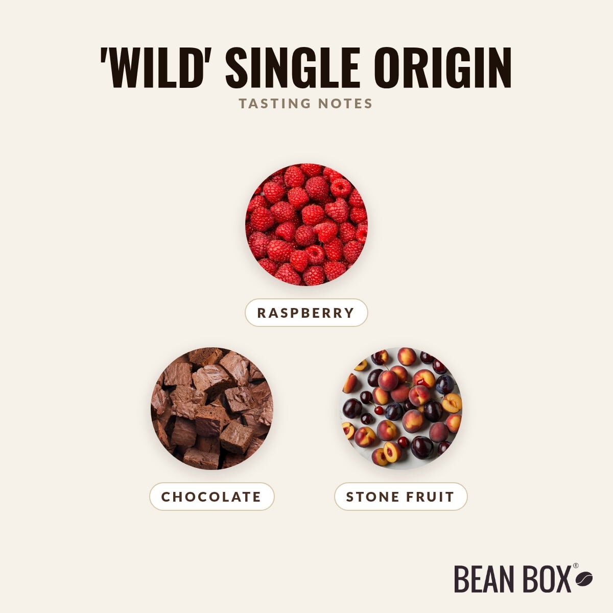'Wild' Single Origin - Roasted by Proud Mary Coffee - Whole Bean Coffee - 250g Bag