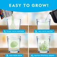 thumbnail image 2 of Kit de cultivo de cristal National Geographic Jumbo con cristal brillante, 2 of 7