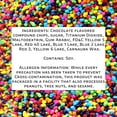 thumbnail image 2 of Rainbow Candy Coated Chocolate Chips | Cosmic Brownie Sprinkles [10 Oz] | Mini Chocolate Baking Chips for Ice Cream & Cake Decorating | Kosher, Nut Free, Vegan & Gluten Free | Stern’s Bakery, 2 of 7