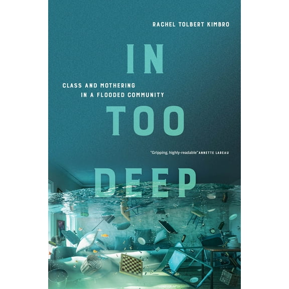 In Too Deep: Class and Mothering in a Flooded Community, (Paperback)