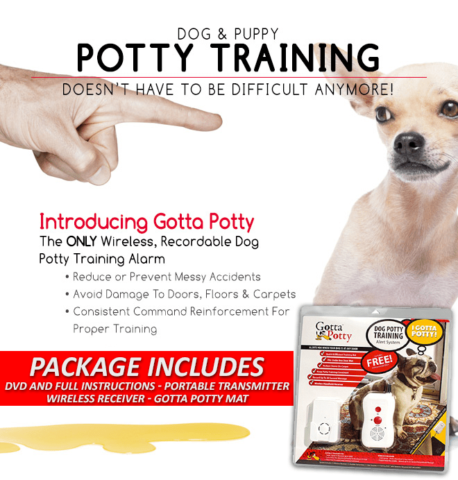 gotta potty mat