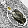 thumbnail image 2 of Mexican Cabbing Fossil & Citrine 925 Sterling Silver Pendant Jewelry P-1005 SDP139232, 2 of 5