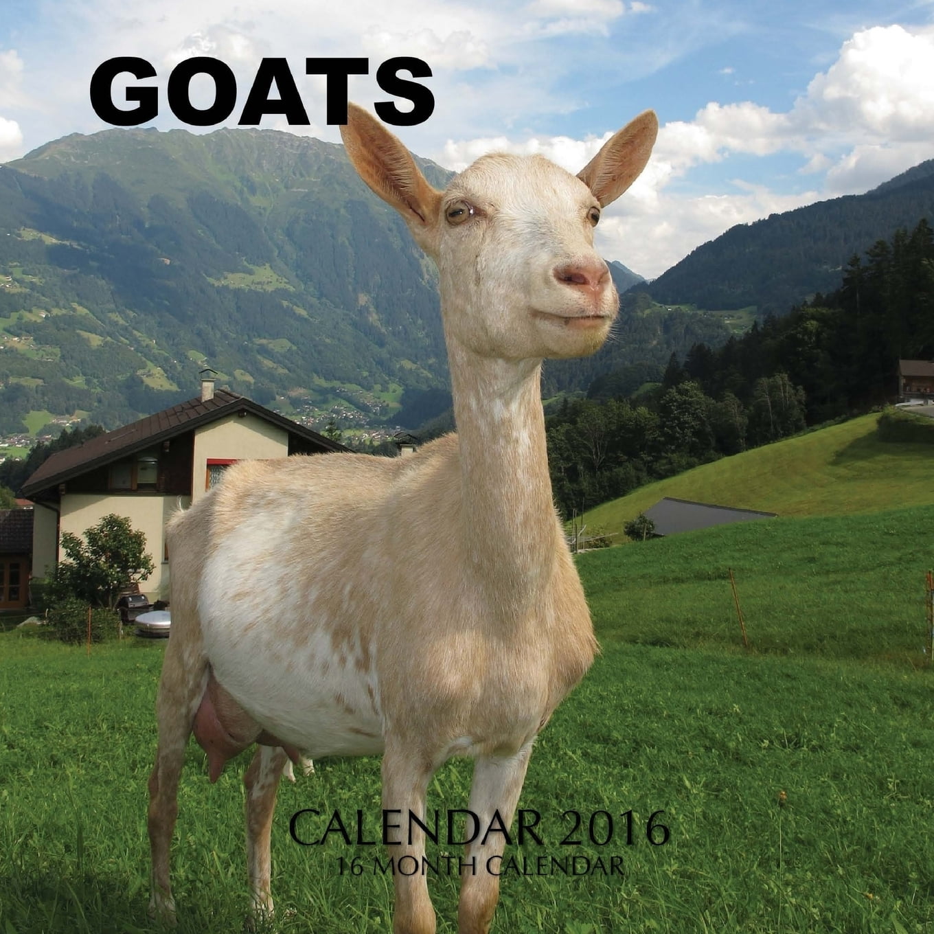 Goats Calendar 2016 16 Month Calendar (Paperback)