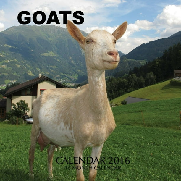 Goats Calendar 2016: 16 Month Calendar (Paperback) - Walmart.com