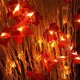 thumbnail image 4 of Cadena De Luz De Hoja De Arce, Guirnalda De Luz LED Impermeable Decorativa Para Jardín, 4 of 8