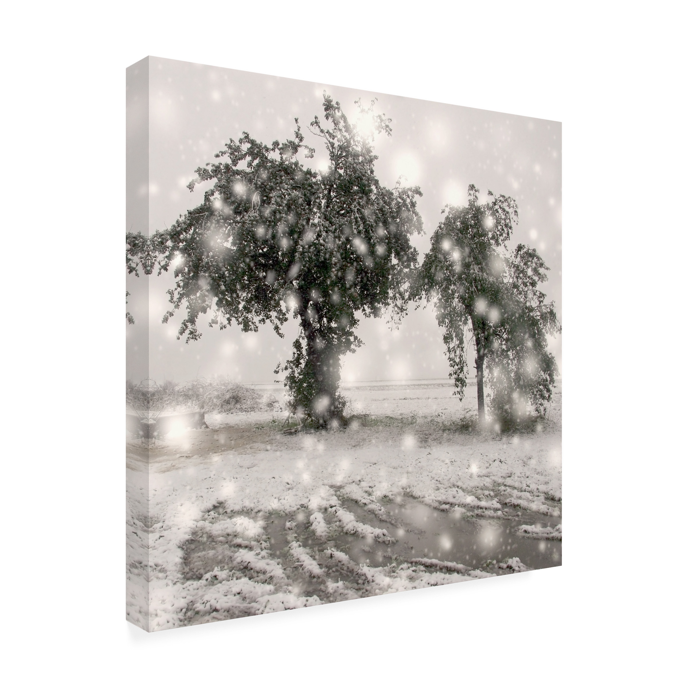 Trademark Fine Art "Winter Romance" Canvas Art by Beata Czyzowska Young