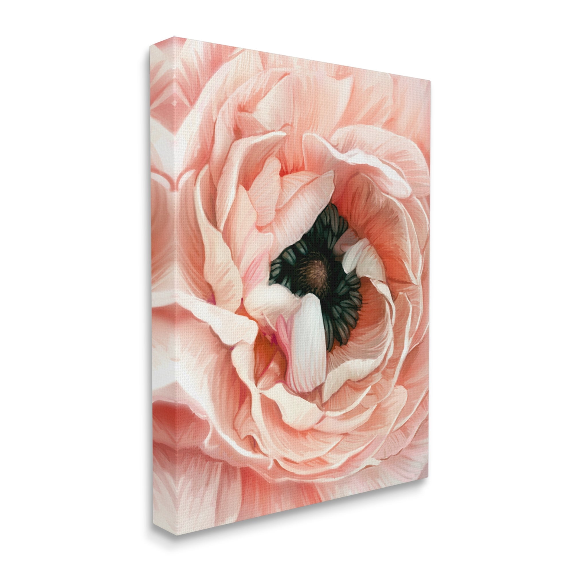 Stupell Industries Up Close Pink Peony Intricate Sunlit Petals Painting Gallery Wrapped Canvas Print Wall Art, Design by Ziwei Li