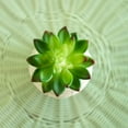 thumbnail image 5 of Mainstays 4" Tabletop Artificial Succulent in Geometric Print Ceramic Pot, White, 5 of 6
