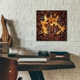 thumbnail image 5 of Epic Art 'Brown Pebbles with Cedar' by Jan Bell Acrylic Glass Wall Art, 12"x12", 5 of 8