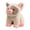 H, variant on Plush Pig Toys Plush Pig Toys Cartoon And Cute Plush Pig Pad Dolls Plush Pig Plush Toys Soft Plush Pig Plush Toys Birthday And Christmas