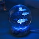 thumbnail image 4 of Bola de cristal tallada en 3D, luz nocturna, adorno de iluminación con enchufe USB (pez payaso) Likrtyny Para estrenar, 4 of 6