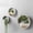 White, variant on 3 Pack Set Wall Planters,Modern Round Glass Wall Planter Succulent Planter Circle Iron Planter Vase for ,Small Cactus for Balcony, Room and Patio Decor (Black)